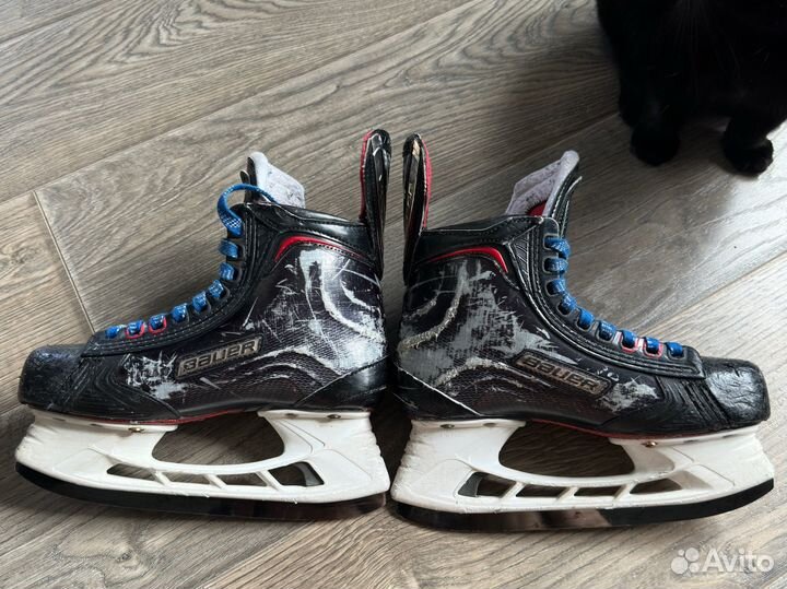 Хоккейные коньки bauer vapor 1x