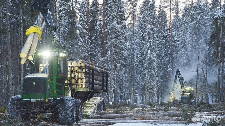 Услуги лесозаготовки
