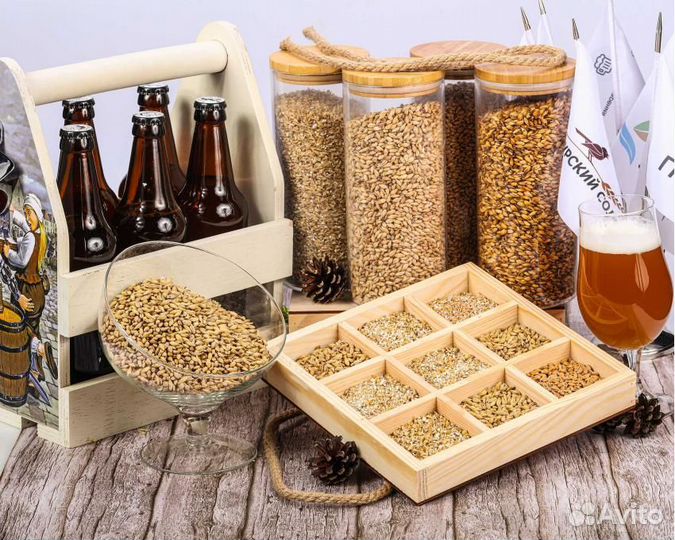 Солод Курский