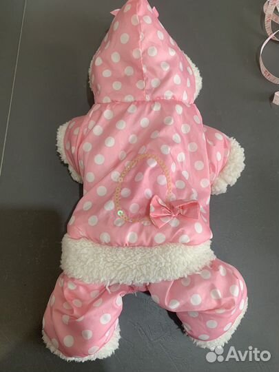 Одежда для маленьких собак