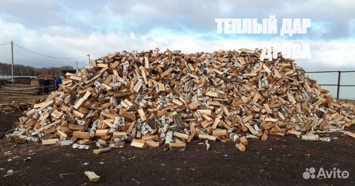 Дрова береза осина ольха