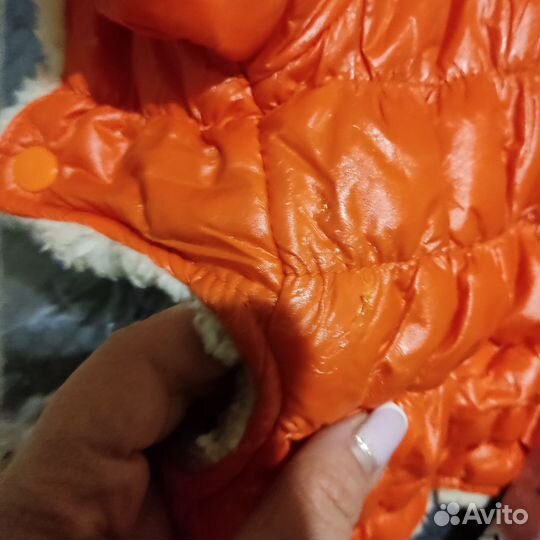 Зимний костюм для собак