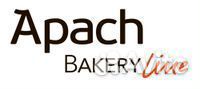 Переключатель режимов apach bakery line для печи р