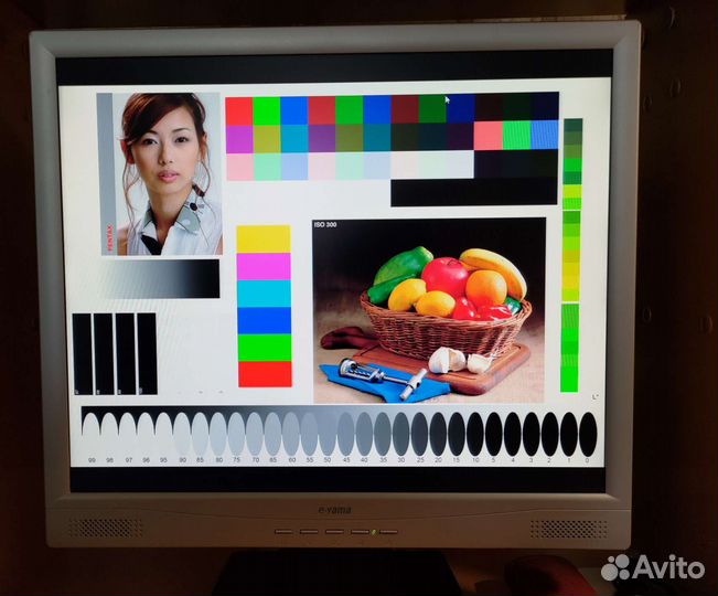 Монитор e-yama 19LJ2-S