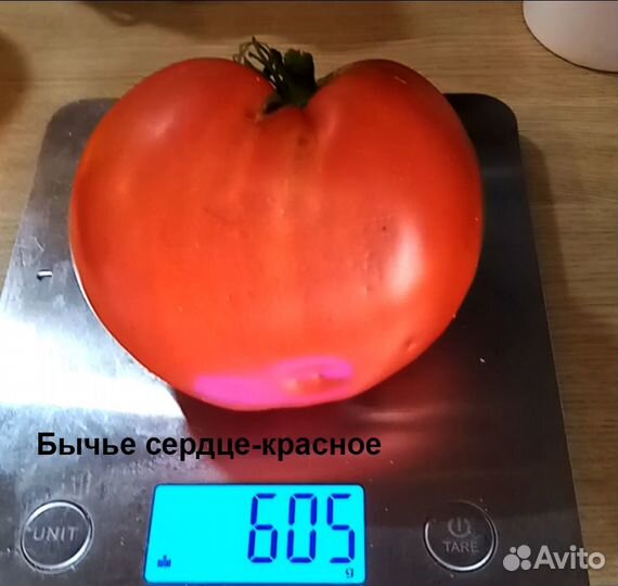 Семена томатов