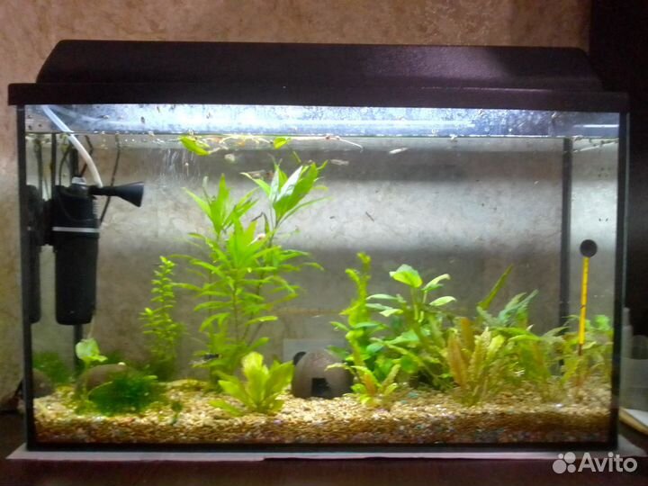 Аквариум