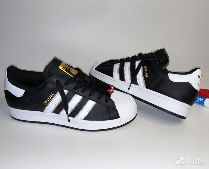Adidas superstar shelltoe