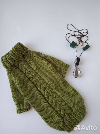 Одежда для собак