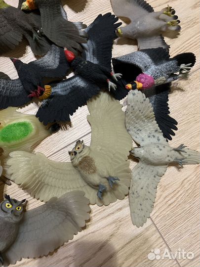 Резиновые птицы: грифы, совы, ястребы