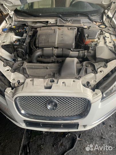 Ноускат Jaguar XF