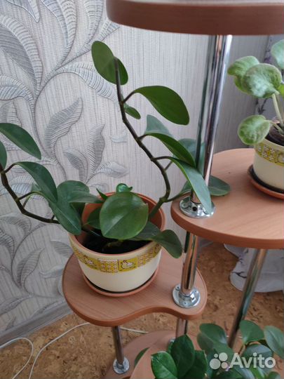 Подставка для цветов напольная деревянная