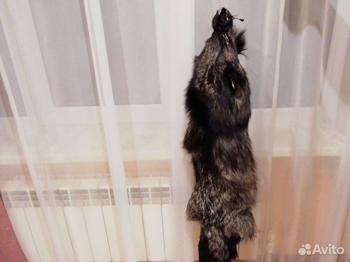 Шкура чернобурки