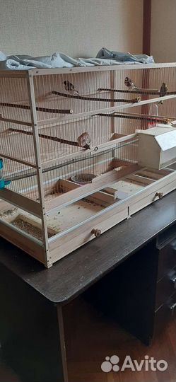 Большая клетка для птиц