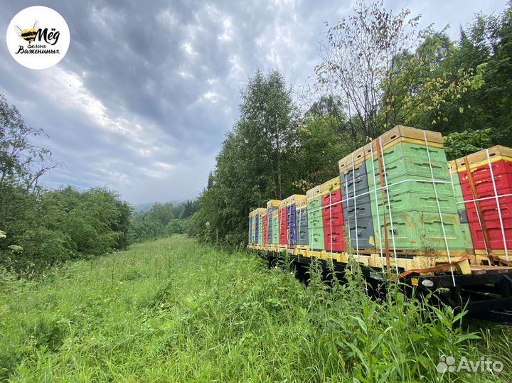 Мед натуральный со своей пасеки