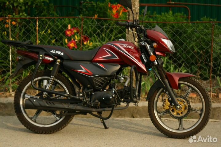 Мопед Альфа (новый 125куб)(Alpha ZS50-C 49,9куб)