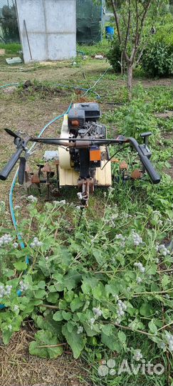 Мотоблоки и культиваторы бу