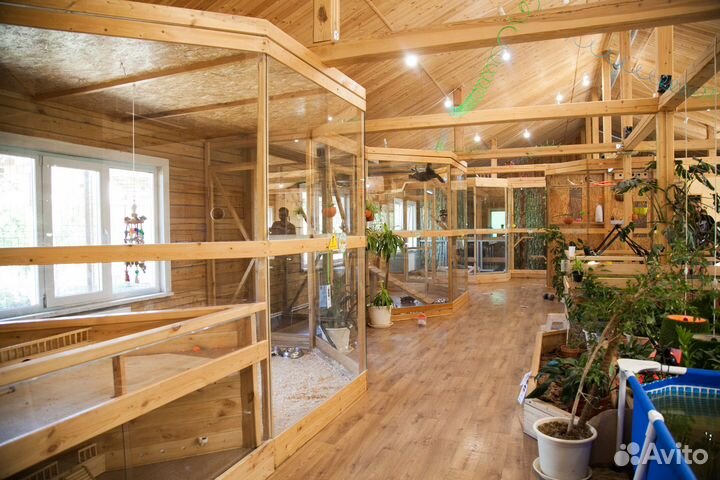 Клинер (уборщица)