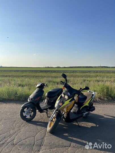 Irbis 1z50r 2т