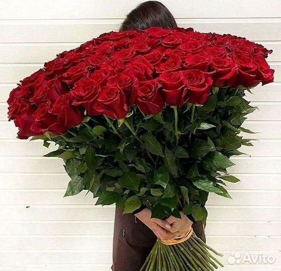 101 роза цветы букеты доставка 25 51 101 роза