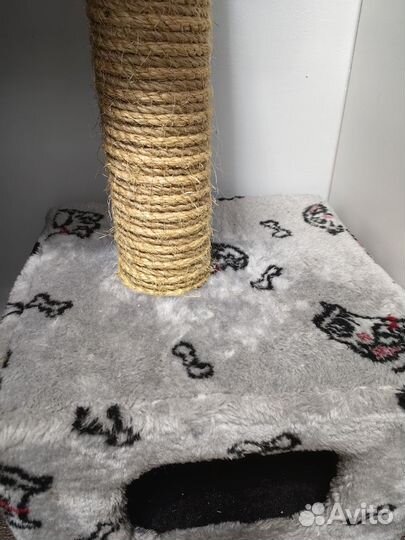 Когтеточка