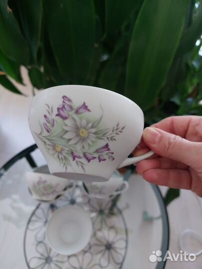 Чашечки Дулево 6 шт