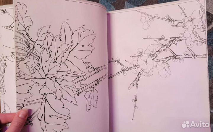 Альбом Китайская живопись