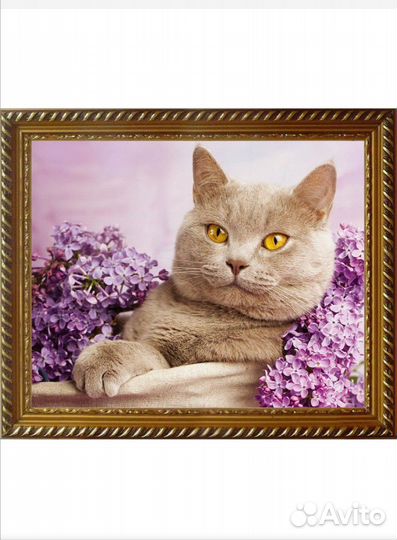 Картина алмазная мозаика 