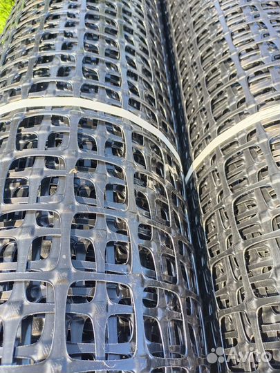 Геосетка Pascal