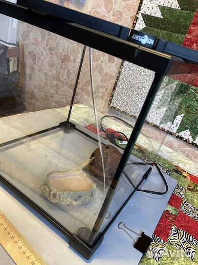 Террариум для змеи бу, 30х30х30