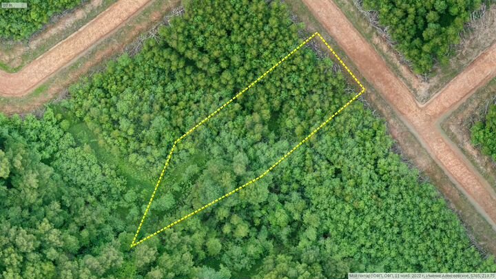 Участок 25,5 сот. (СНТ, ДНП)