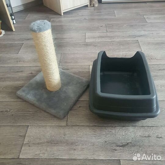 Когтеточка