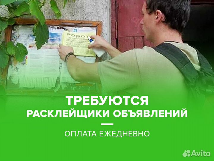 Промоутер ежедневная оплата