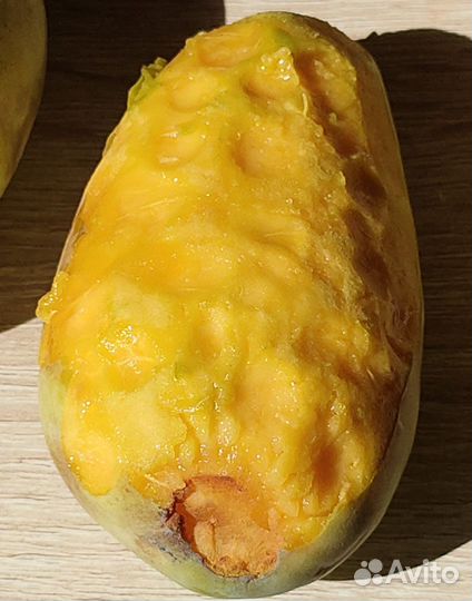 Азимина саженцы