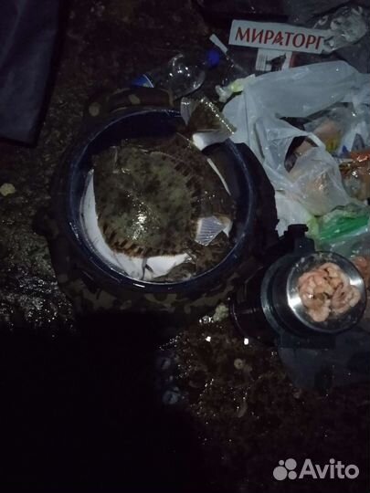 Снасть для ловли камбалы