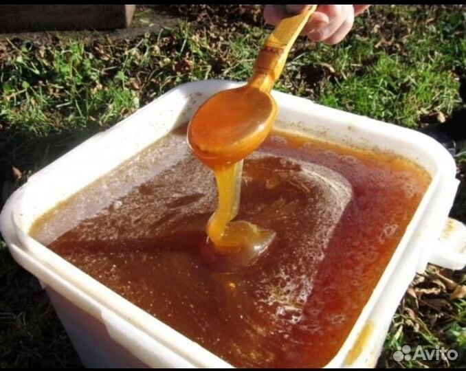 Мед свежий 2023