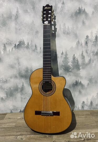 Электроакустика Ibanez