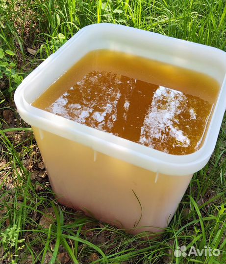 Оптом мёд натуральный алтайский от 16 кг