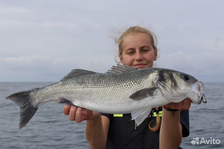 Аренда удочек, спинингов
