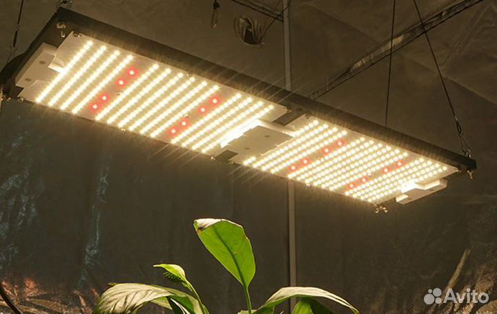Фитолампа quantum board полный спектр 530 Вт
