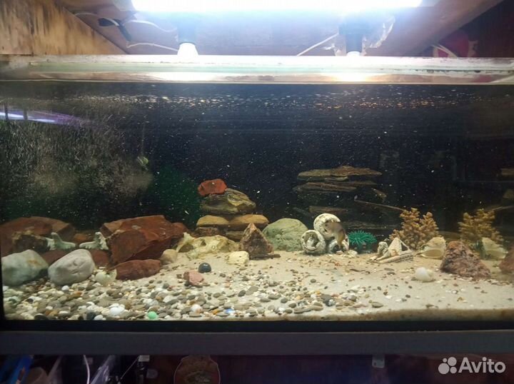 Аквариум