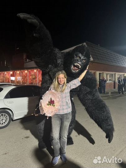 Белый мишка, кинг конг поздравление