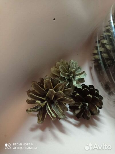 Шишки для поделок и панно, венки, выбеленные шишки