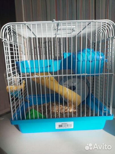 Новая Клетка для хомяка с молодым джингариком