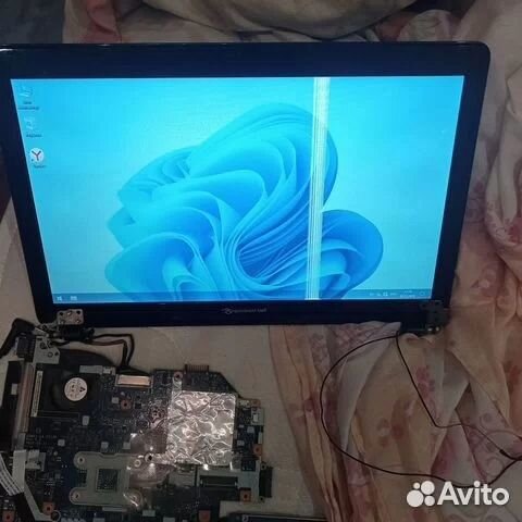 Packard Bell TV11HC разбор