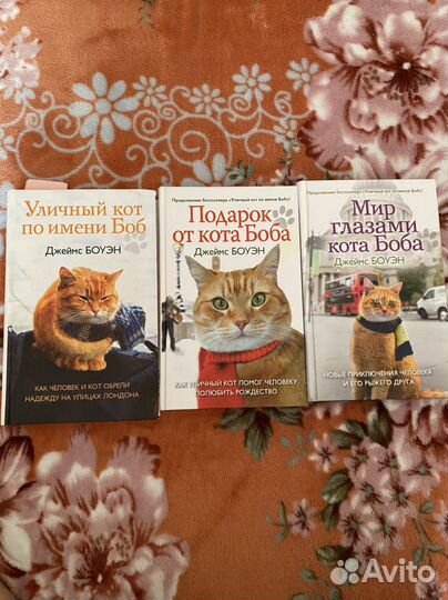 Уличный кот по имени Боб, Джеймс Боуэн