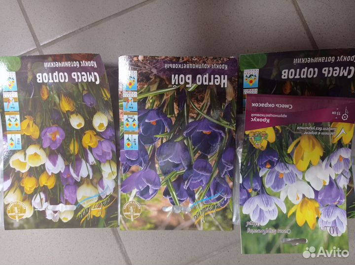 Тюльпаны, крокусы, гиацинты, нарцисы