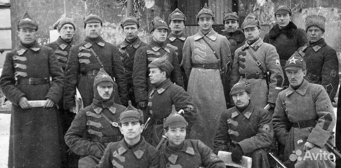 Буденовка серая Синкевич