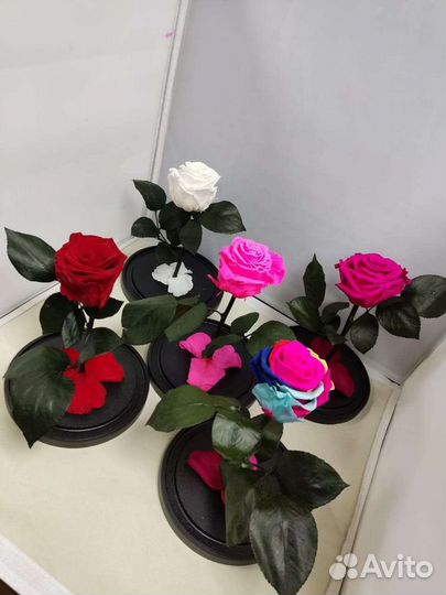 Подарок маме / Роза в колбе