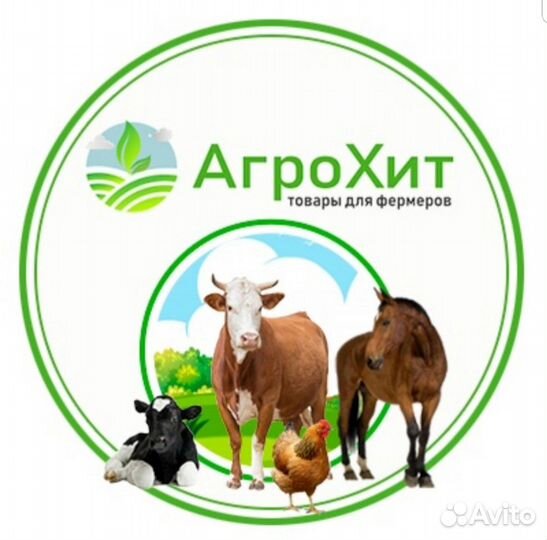 Продавец-универсал в магазин 