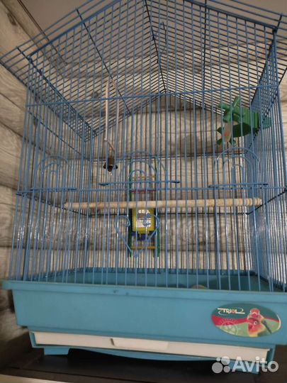 Клетка для попугая, актуально неделю